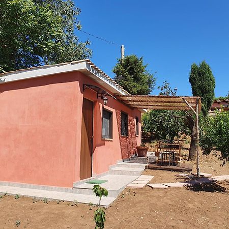 Azienda Agricola Sinisi Villa Cerveteri Room photo