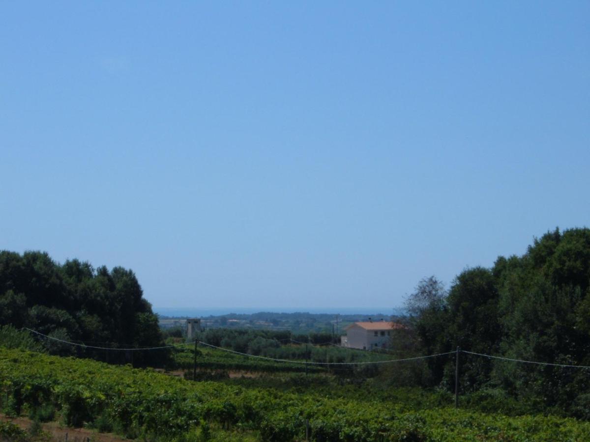 Azienda Agricola Sinisi Villa Cerveteri Room photo