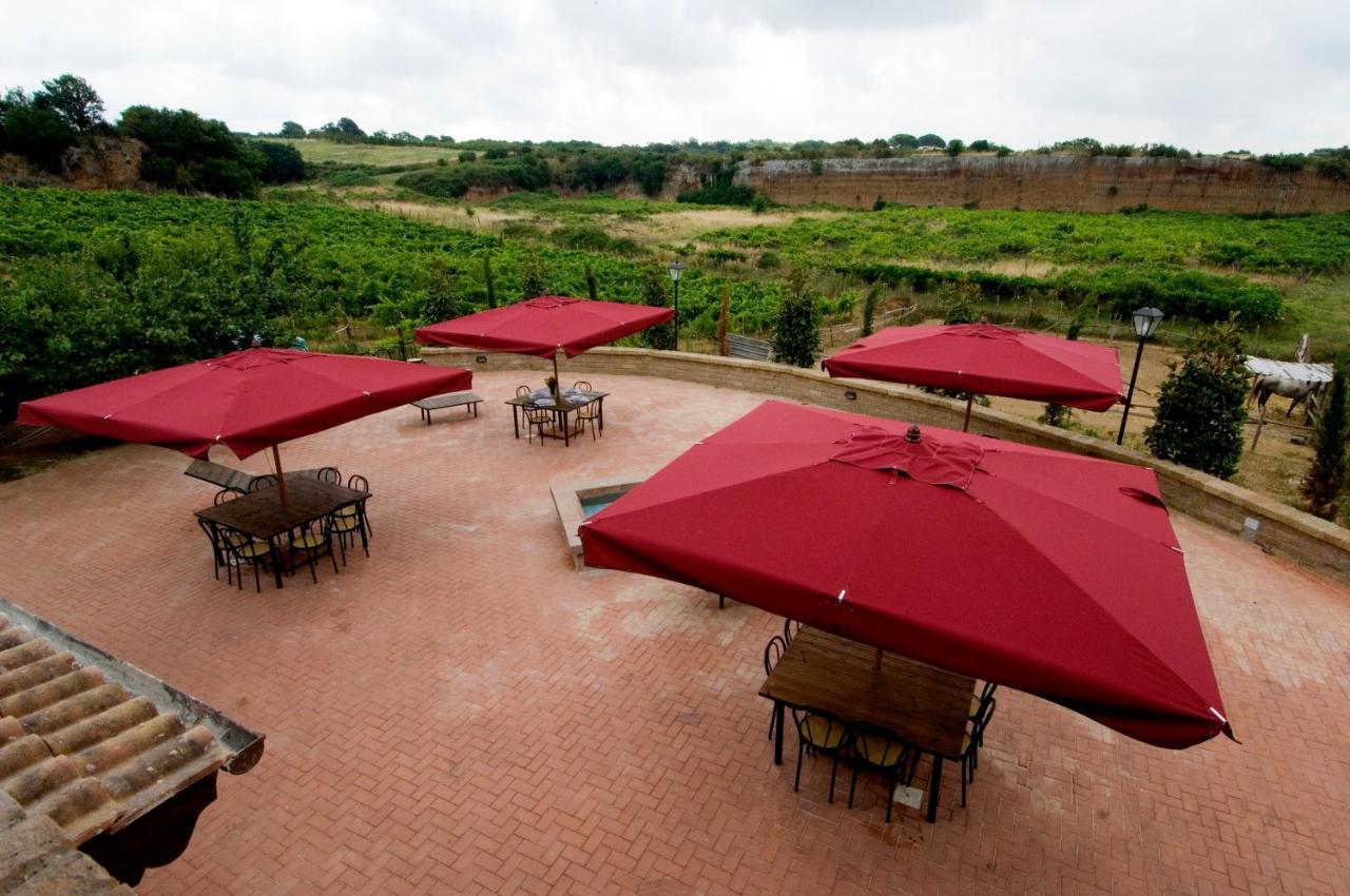 Azienda Agricola Sinisi Villa Cerveteri Room photo