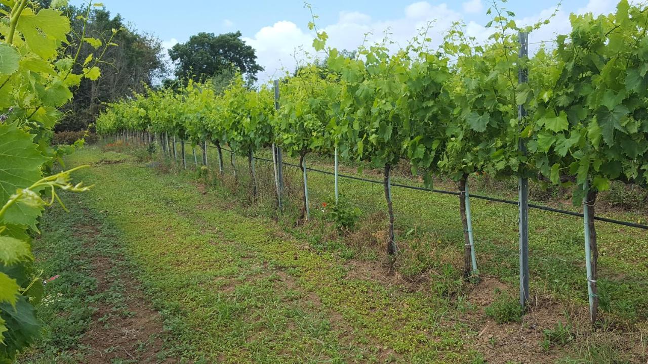 Azienda Agricola Sinisi Villa Cerveteri Exterior photo