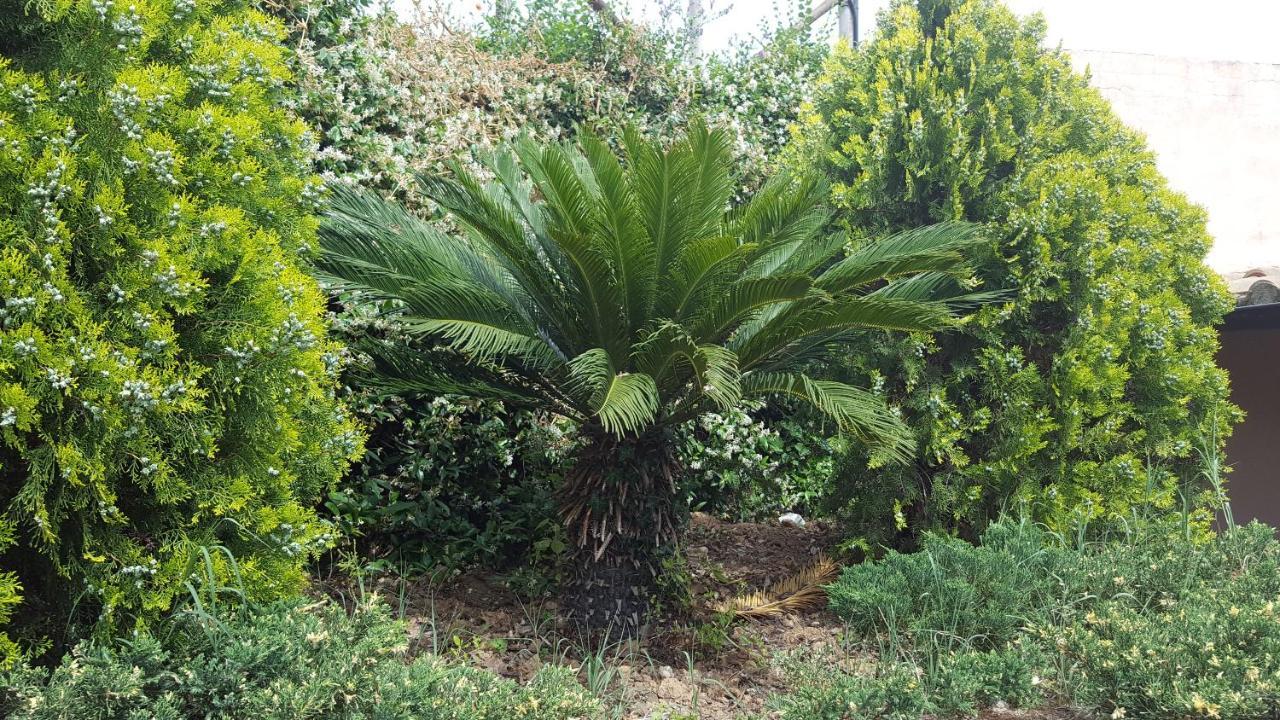 Azienda Agricola Sinisi Villa Cerveteri Exterior photo