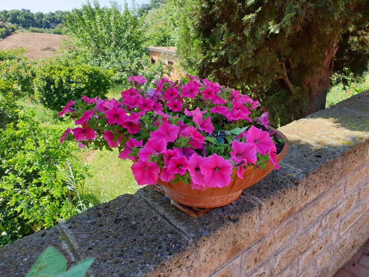 Azienda Agricola Sinisi Villa Cerveteri Exterior photo