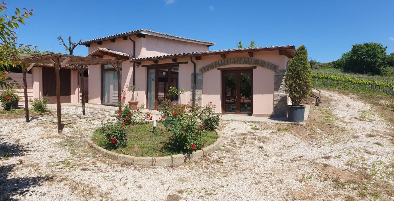 Azienda Agricola Sinisi Villa Cerveteri Exterior photo