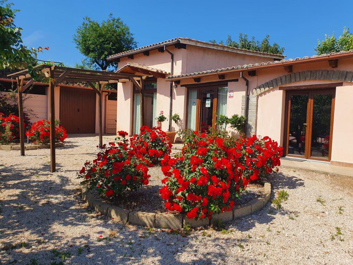 Azienda Agricola Sinisi Villa Cerveteri Exterior photo