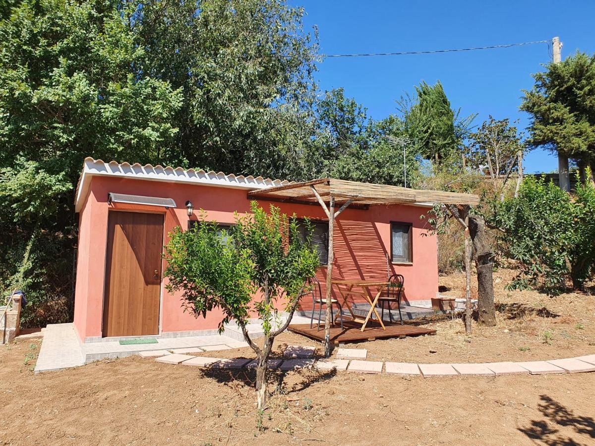 Azienda Agricola Sinisi Villa Cerveteri Room photo