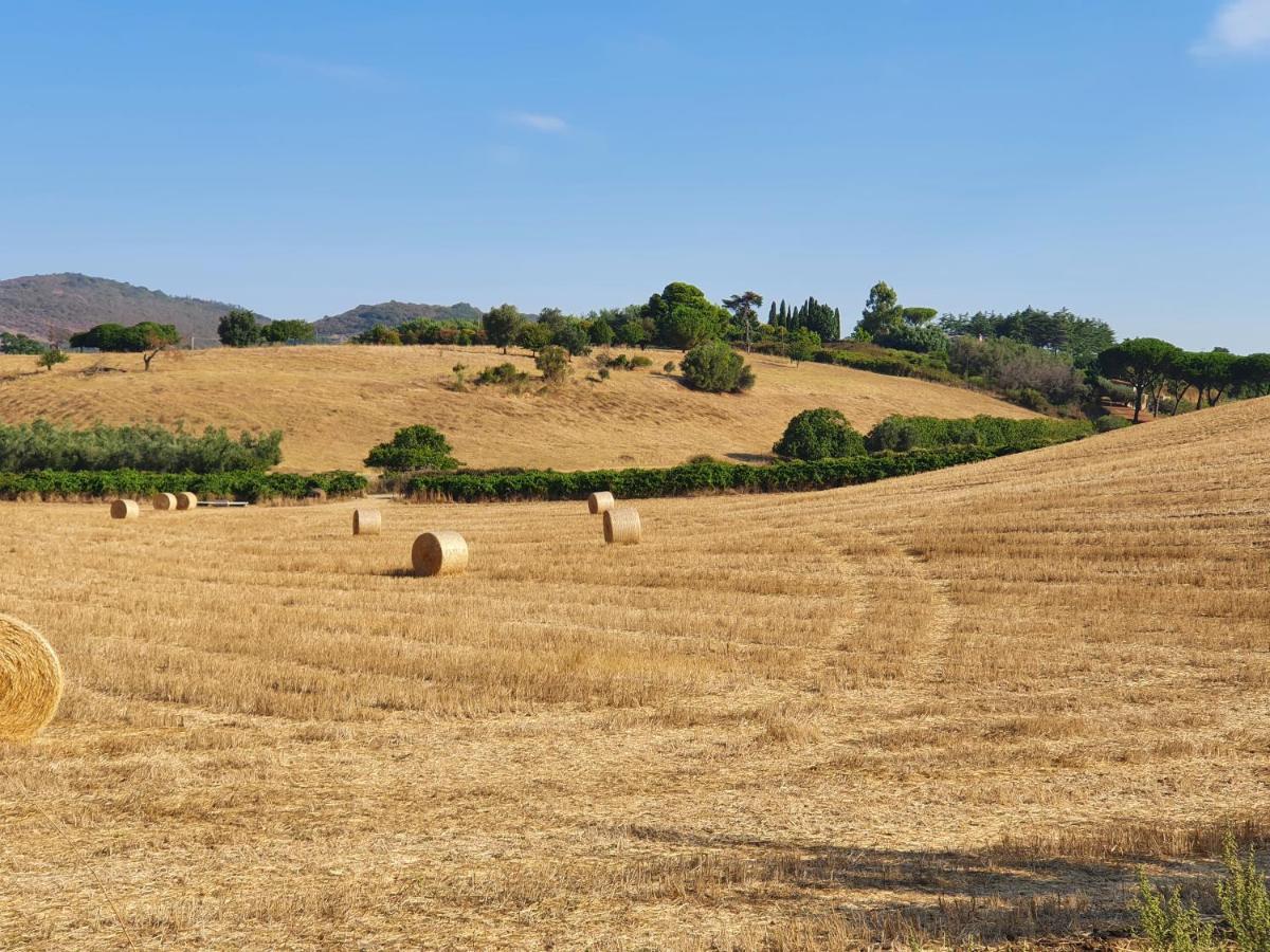 Azienda Agricola Sinisi Villa Cerveteri Exterior photo